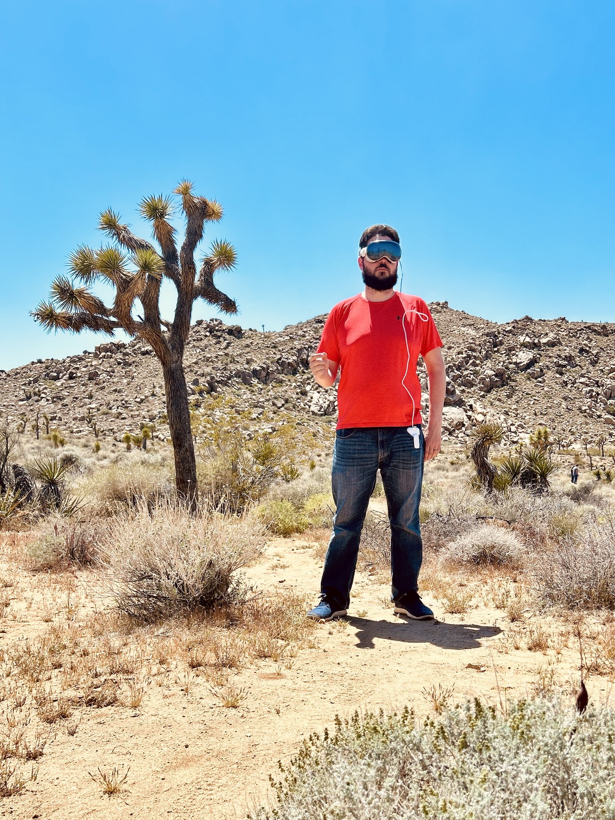 Using the Vision Pro in Joshua Tree National Park